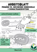 Vorschau - Arbeitsblätter - Arbeitsblatt primäre sekundäre Sinneszellen Signaltransduktion Neurobiologie - Deckblatt