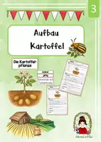 Vorschau - Arbeitsblätter - Kartoffel - Aufbau - Deckblatt