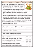 Vorschau - Arbeitsblätter - Lesen & Verstehen - Frösche im Herbst (Klasse 1-2) - Seite 2