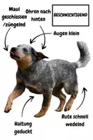 Vorschau - Spiele - Zuordnungsspiel - Körpersprache Hund - Seite 2
