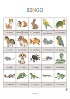 Vorschau - Spiele - Haustiere: Bingo (Spiel für den DaZ-, DaF- und Deutschunterricht) - Seite 2