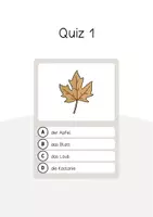 Vorschau - Spiele - Herbst: Vokabel-Quiz (Spiel für den DaZ-, DaF- und Deutschunterricht) - Seite 3