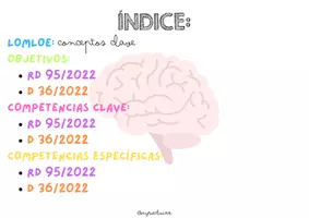 Vista previa - Para docentes: organización, planificación y formación - Resumen currículo de infantil - página 3