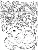 Aperçu - Feuilles d'exercices - Think, Color & Solve! Brain Boost Activity Pack - Page 1