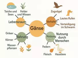 Vorschau - Arbeitsblätter - Arbeitsblätter zum Thema "Gans" + Lösung & MP3 + Mindmap - Seite 3