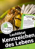 Vorschau - Stundenentwürfe - Lebewesen Materialpaket BUNDLE - Seite 1