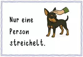 Vorschau - Poster - Regeln bei der Arbeit mit einem Schulhund - Seite 3