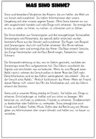 Vorschau - Stundenentwürfe - Sachtexte Sinne Sinnesorgane - Seite 1