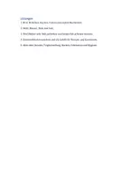 Vorschau - Arbeitsblätter - Der Bäcker 🥐 Textverständnis Deutsch / DaZ – Lesetraining Arbeitsblätter mit Fragen - Seite 3