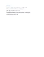 Vorschau - Arbeitsblätter - Bewegung & Sport 🤸⚽🏃 Textverständnis Deutsch / DaZ – Lesetraining Arbeitsblätter mit Fragen - Seite 3