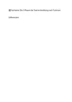 Vorschau - Text - 📚 Fachtexte: Die 5 Phasen der Teamentwicklung nach Tuckman Differenziert - Deckblatt