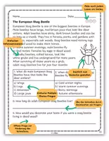 Vorschau - Arbeitsblätter - European Animals Reading Passages with Questions - Seite 1