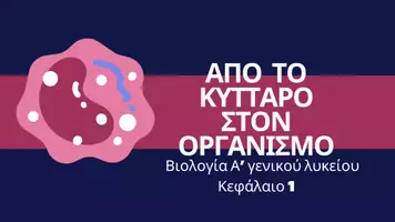 Προεπισκόπηση - Διαδραστικό υλικό - Κεφάλαιο1_Αλυκείου - Εξώφυλλο
