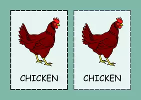 Vista previa - Juegos / Gamificación - MEMORY ANIMAL FLASHCARDS - página 3
