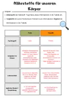 Vorschau - Arbeitsblätter - Fette & Eiweiße- Partnerpuzzle | Unterrichtsreihe "Ernährung", Biologie Klasse 6./7. - Seite 3
