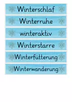 Vorschau - Präsentationen/Tafelbilder - Tiere im Winter – Überwinterungsstrategien – Tafelmaterial/Aushang (Sachunterricht / Biologie) - Seite 3