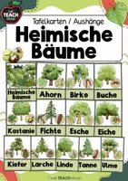 Vorschau - Stationenlernen - Der Wald - Heimische Bäume - Tafelkarten - Deckblatt