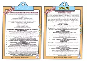 Vista previa - Tarjetas / Manipulativos - Todo lo que debes saber… LOMLOE - página 2