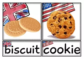 anteprima - Schede informative - American English or British English: 21 schede | presentazione digitale - Pagina 3
