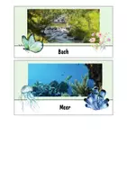 Vorschau - Spiele - Sortierspiel Flora & Fauna im und am Gewässer - Ökosystem Gewässer - Biologie - Seite 3