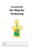 Vorschau - Arbeitsblätter - Forscherheft: Weg der Verdauung - Seite 2