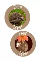 Vorschau - Poster - Legekreis und Themenplakat "Der Igel" - Seite 2