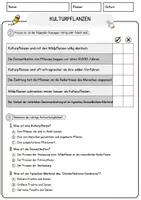 Vorschau - Arbeitsblätter - Kulturpflanzen Biologie Pflanzen Lesetext mit Richtig Falsch Multiple Choice und Offenen Fragen - Seite 2
