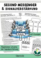 Vorschau - Arbeitsblätter - Second Messenger & Signalverstärkung Neurobiologie Sinnesbiologie - Deckblatt