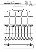 Vorschau - Arbeitsblätter - Second Messenger & Signalverstärkung Neurobiologie Sinnesbiologie - Seite 2