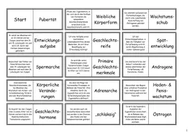 Vorschau - Spiele - Lerndomino - körperliche Veränderungen Jugendalter/ Pubertät - Seite 1