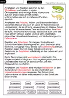 Vorschau - Arbeitsblätter - Amphibien und Reptilien | Lückentext mit Lösungen | Biologie - Seite 2