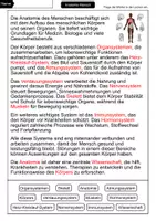Vorschau - Arbeitsblätter - Anatomie Mensch – Materialpaket | Wissenskartei, Lückentext & Quizkarten - Seite 3