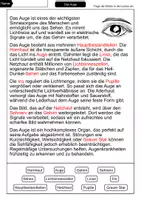 Vorschau - Arbeitsblätter - Das Auge | Lückentext mit Lösungen | Biologie - Seite 2