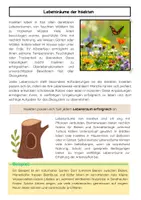Vorschau - Arbeitsblätter - Artenvielfalt und Lebensräume der Insekten - Seite 2