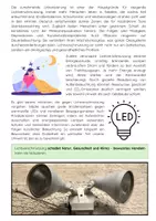 Vorschau - Arbeitsblätter - Lichtverschmutzung: Ursachen, Folgen und Maßnahmen - Seite 2