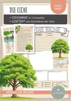 Vorschau - Arbeitsblätter - Steckbrief EICHE plus Lesetext und Wurzeltypen - Deckblatt