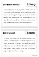 Vorschau - Arbeitsblätter - Abschreibkartei Herbst (Groß- und Kleinschreibung) - Seite 3