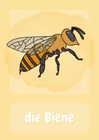 Vorschau - Poster - Die Biene - Tafelbilder zum ausdrucken - Seite 2