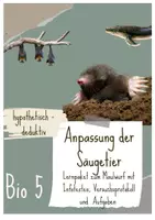 Vorschau - Stundenentwürfe - Anpassung Maulwurf Bio 5 (Lehrprobe) mit ausführlichem Unterrichtsentwurf - Experimentieren statt Infos aus Texten entnehmen - Seite 1