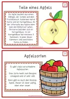 Vorschau - Stationenlernen - Der Apfel - Informationskartei - Seite 3