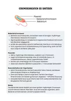 Vorschau - Arbeitsblätter - DNA, RNA & REPLIKATION (XL Materialpaket) - Seite 1