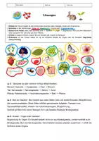 Vorschau - Arbeitsblätter - Zelle, Gewebe, Organ, Organismus – Vom Kleinsten zum Ganzen - Seite 3