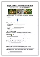 Vorschau - Arbeitsblätter - Fragen zum Film - Lebensgemeinschaft Wald - Nahrungsbeziehungen, Stoffkreisläufe - Seite 1