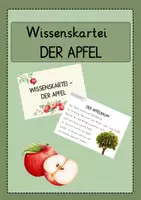 Vorschau - Arbeitsblätter - Materialpaket - der Apfel - Seite 1