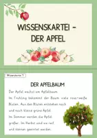 Vorschau - Arbeitsblätter - Materialpaket - der Apfel - Seite 2