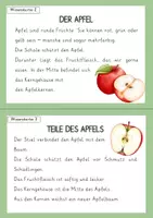 Vorschau - Arbeitsblätter - Materialpaket - der Apfel - Seite 3