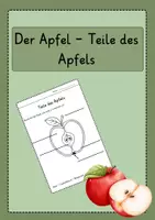Vorschau - Arbeitsblätter - Arbeitsblatt - Teile des Apfels - Deckblatt