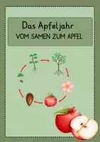 Vorschau - Poster - Das Apfeljahr - vom Samen zum Apfel - Deckblatt