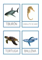 Vista previa - Tarjetas / Manipulativos - DOSSIER MATERIALES ANIMALES MARINOS - página 1