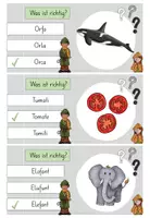 Vorschau - Spiele - Klammerkarten: Finde das richtige Wort! - Seite 1
